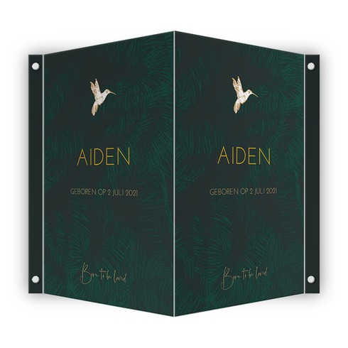 Geboortebord Aiden jungle - 50x70