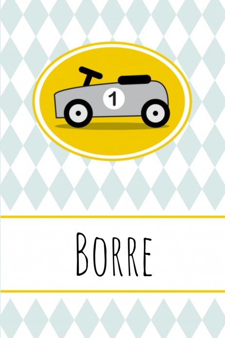 Geboortekaartje Borre - GB