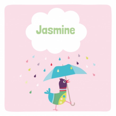 Geboortekaartje Jasmine - ZW