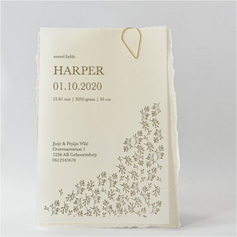 20 vellen handgeschept papier (150 gram) 10x15cm