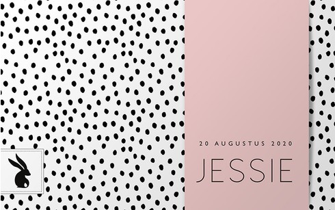 Geboortekaartje Dots Jessie - MC