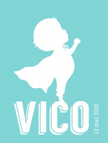 Poster Special DIY - Vico - 30x40