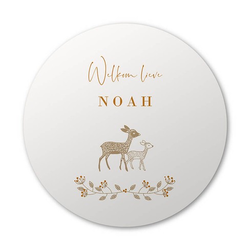 Ronde raamsticker Noah 40x40