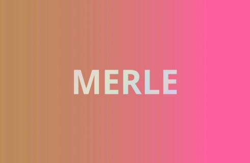 Stoer meisjes geboortekaartje met vrolijke overloop en regenboogfolie - Merle